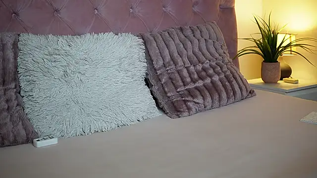 MaiaMini webcam
