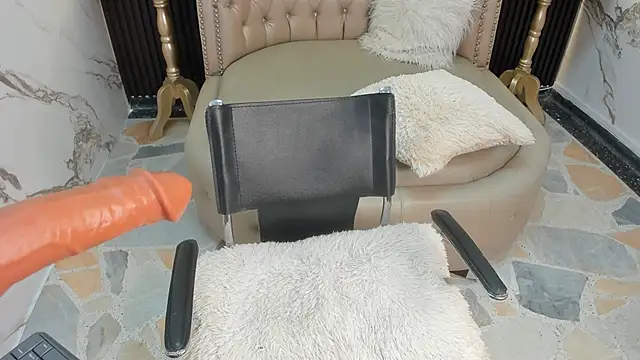 LITTLE_MIAA webcam