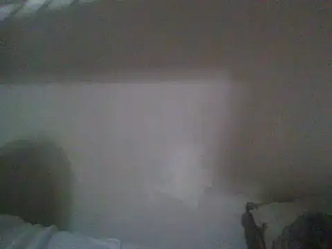 ReallyReallyReal webcam