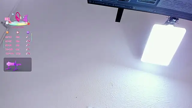 Kim_miller4 webcam