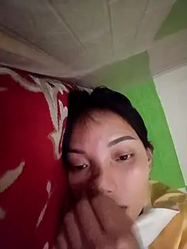 tdtd98 webcam