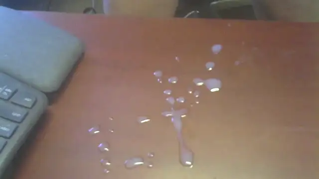 chadhammer webcam