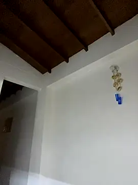 Paulina-Wells webcam