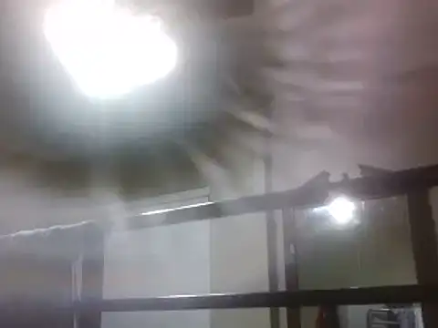 ReallyReallyReal webcam