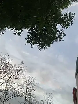 outdoors11 webcam