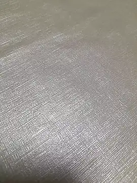 ratoncito_3 webcam