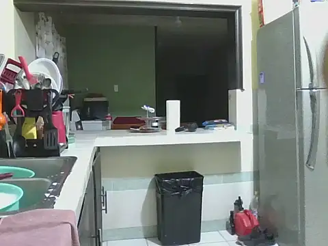 coppel webcam