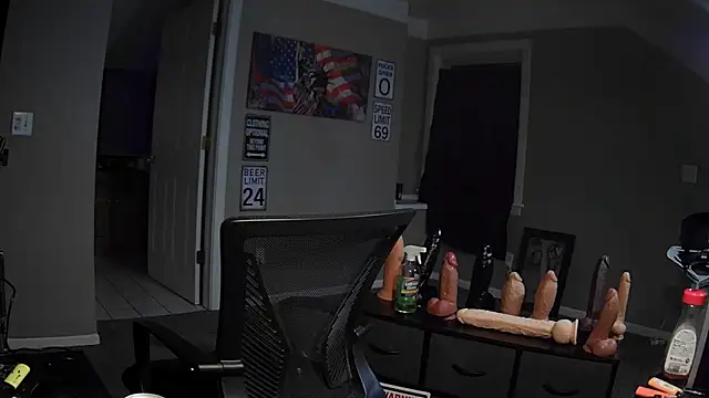 Michigan9000 webcam