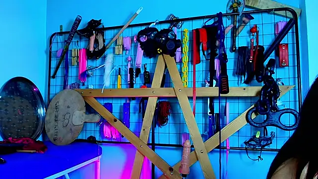 mrGeorgina_clhoe_bdsm webcam