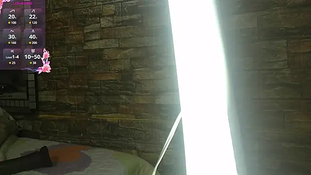 MisRoos webcam