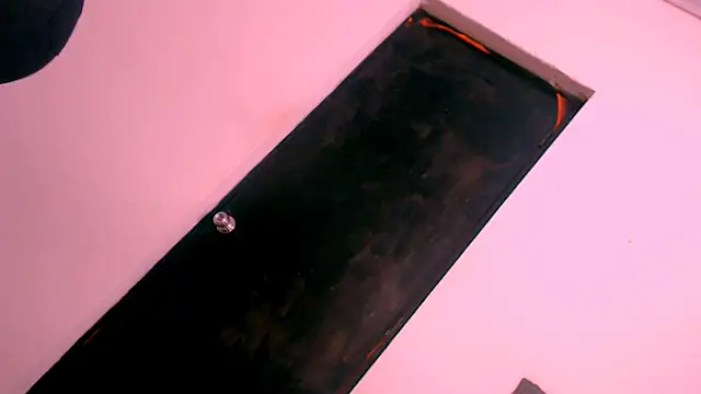 big_alondra_x webcam