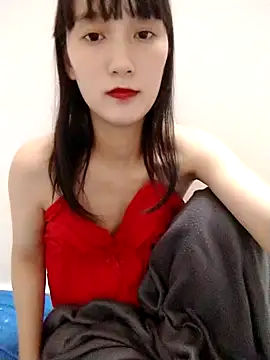 fantar2k66 webcam