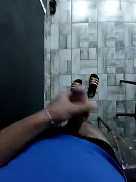 MasterBoy4 webcam