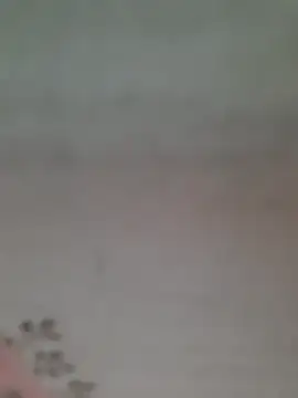 Jenifer887 webcam