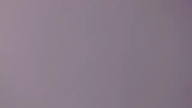 Anastasia_lauren webcam