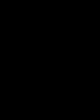 Kay10mb webcam