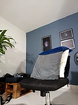 SilvaBranko webcam