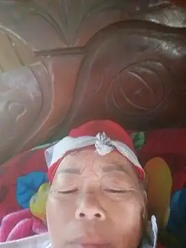VangLe73 webcam
