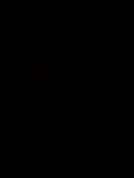 gurlnips webcam