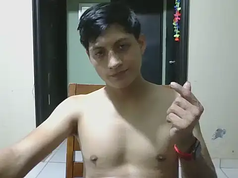 coppel webcam
