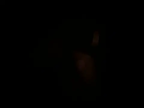 Salon1986 webcam