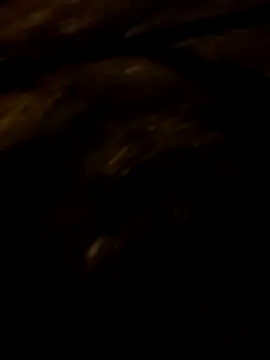 ARTANIS20 webcam