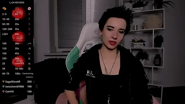 _Rein_ramm webcam