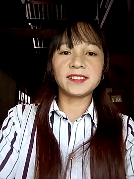 Mini3333 webcam