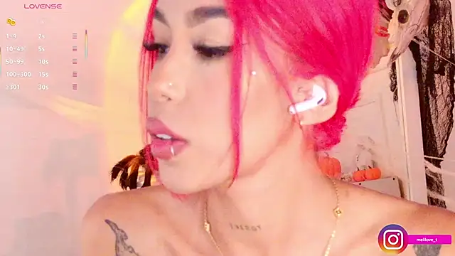 Mely-taylor webcam