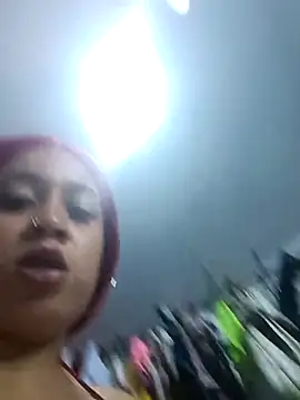 the_geisha_2021k webcam