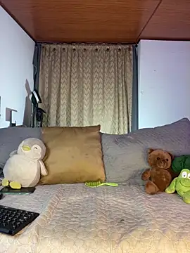 Terra_sunlight webcam