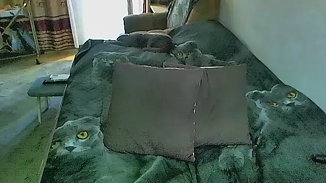 sex2 webcam