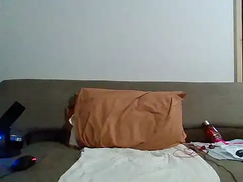 Mdbisc8 webcam