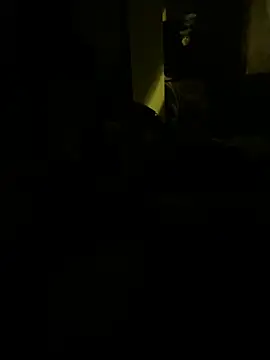 lDarkGreyl webcam