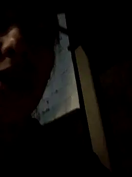 naho_val webcam