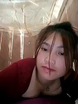 min-xinh webcam