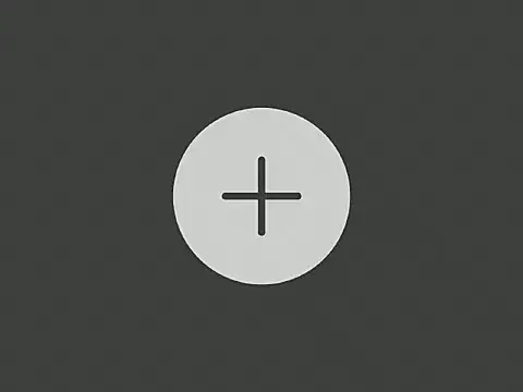 SAENNZ_01 webcam