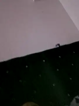 Cataleya_Kudo webcam