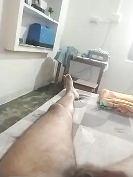 Vish3344 webcam