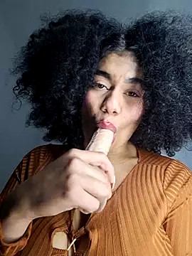 Yerystar webcam