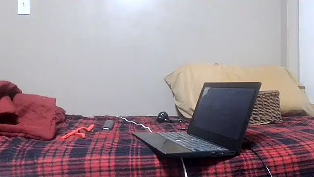 ReallyReallyReal webcam