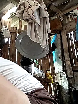 maple694 webcam
