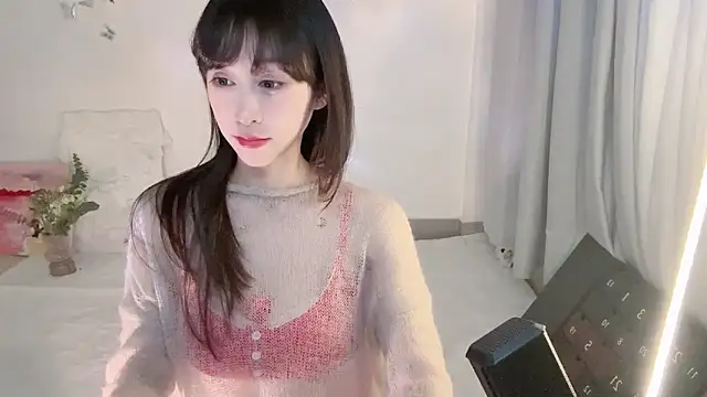 ai-ai-mi webcam