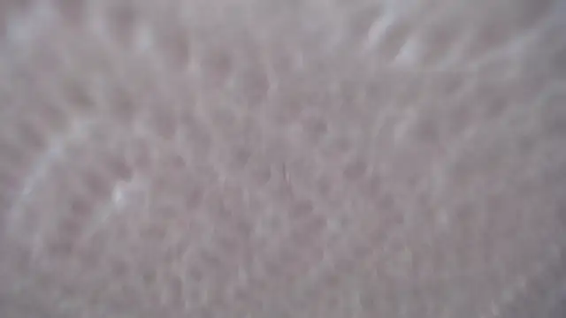 megansmith16 webcam