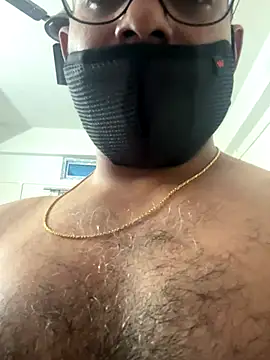 hardickbull webcam
