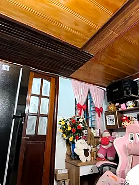 Okleotina webcam