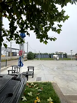 baramadalin webcam