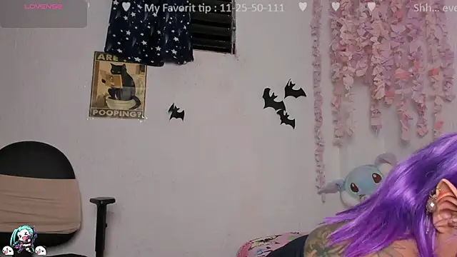 Kuutar webcam