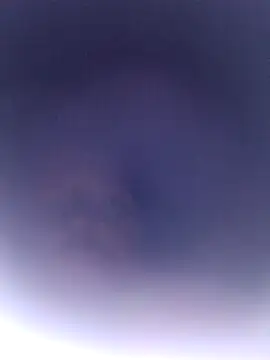 Buddy_Cuck webcam