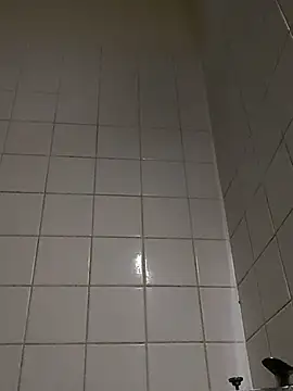wedge75 webcam